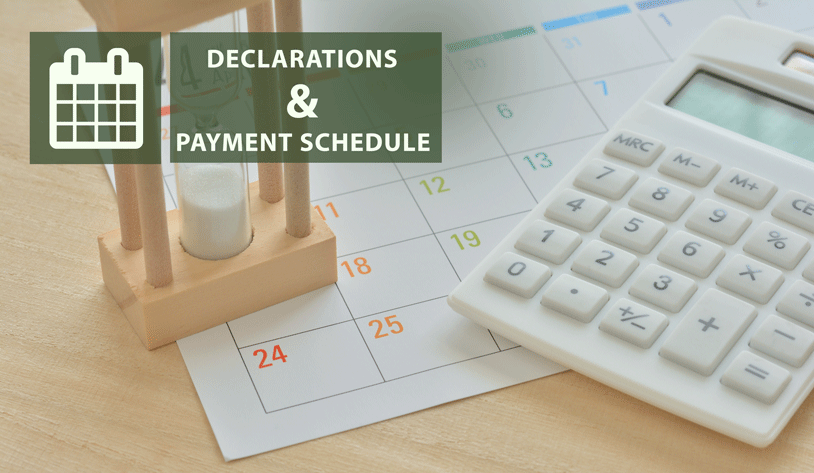 Amendments on Declaration and Payment Terms on Certain Tax Declarations