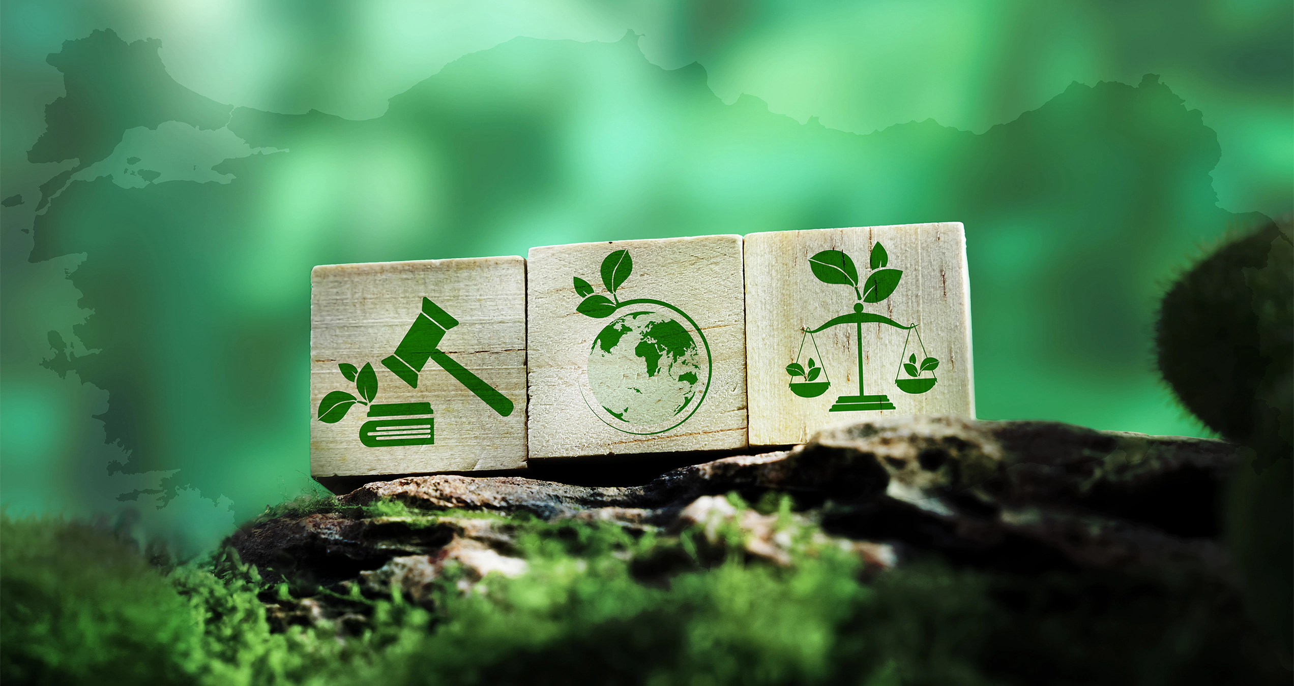 The Türkiye Green Taxonomy Regulation: Reporting Obligations and Compliance Steps for Companies