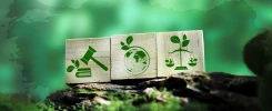 The Türkiye Green Taxonomy Regulation: Reporting Obligations and Compliance Steps for Companies